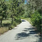 Σγουρής