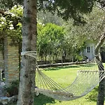 Σγουρής